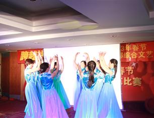 跨越祥和，超越自我—2013春節(jié)聯(lián)歡--財務(wù)處